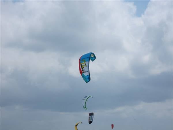 North Rebel 2011 Kite